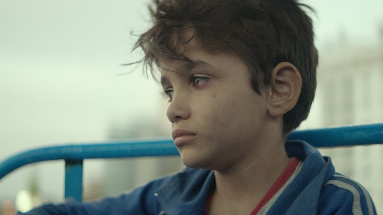 دانلود فیلم Capernaum 2018