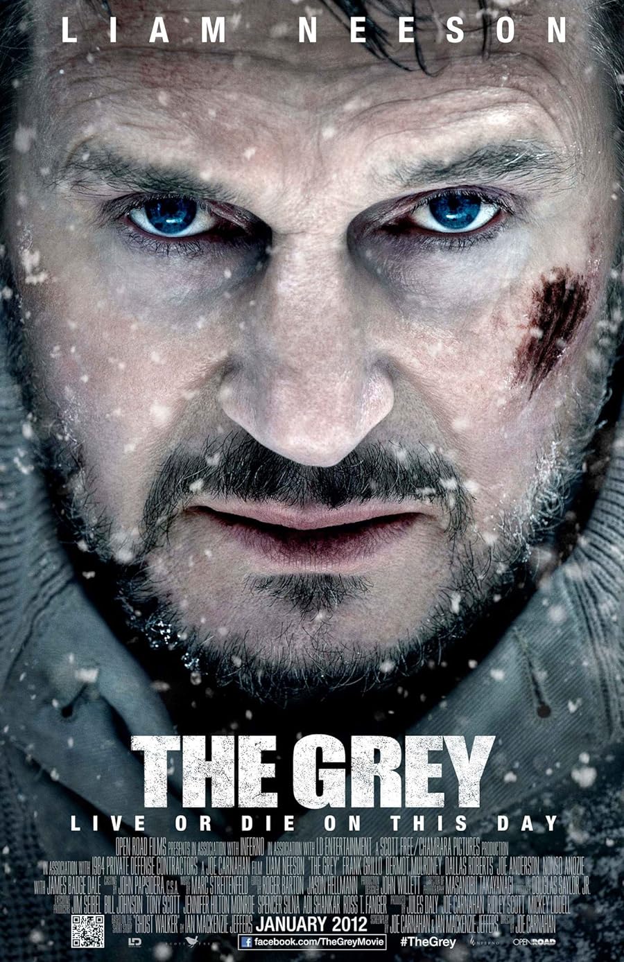 دانلود فیلم The Grey 2011