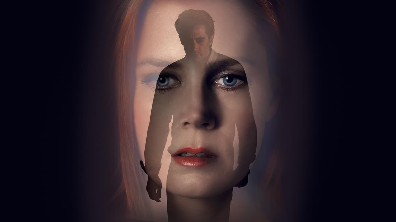 دانلود فیلم Nocturnal Animals 2016